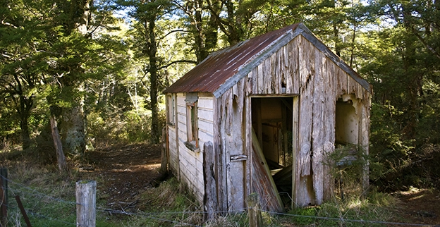 An old, dilapidated shed in a backyard.