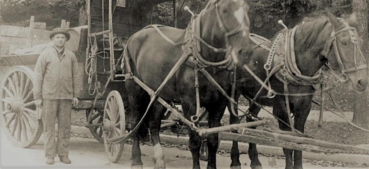 brief-history-of-junk-removal