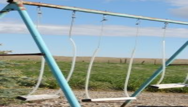 Farm Swingset