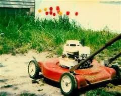 Minneapolis Lawn Mower Disposal