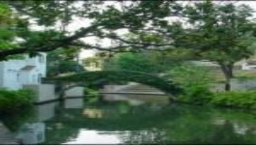 A serene canal with a bridge crossing over it, framed by lush trees in the background.