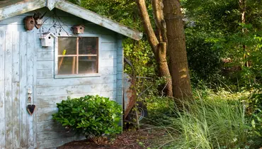 Shed removal