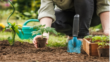 Spring Has Sprung: Your Guide to Freshening Up for the Season