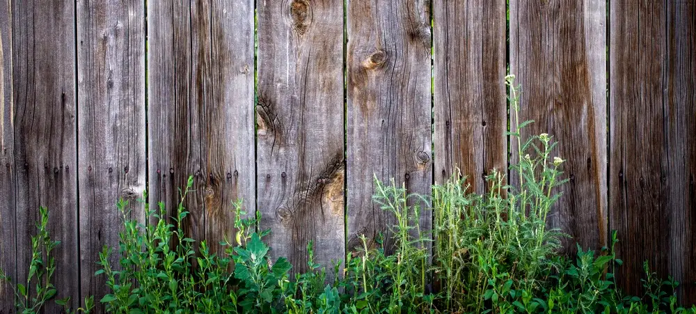 when-your-backyard-fence-can-no-longer-stand-up-1